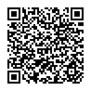 QR Code for Culture and Three Levels in Development Ethics