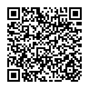 QR Code for The Design of Rural Development