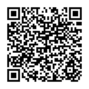 QR Code for Evaluating The Concessionality of Tied Aid