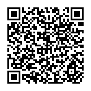 QR Code for What is Measured in Studies on The Determinants of Direct Foreign Investment?