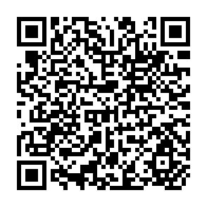 QR Code for The economics of Imperialism