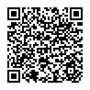 QR Code for The economics of Imperialism