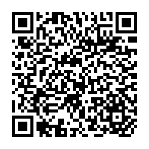 QR Code for The State Of The World's Children 1996