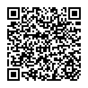 QR Code for Trade Unionism, Wages and Labour Productivity in the Manufacturing Sector of Bangladesh