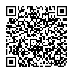 QR Code for Maintenance of Rural Infrastructure at the Local Level: Experiences with the Defunct Upazila System in Bangladesh