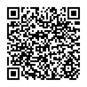 QR Code for Asia-Pacific Information Network In Social Sciences APINESS
