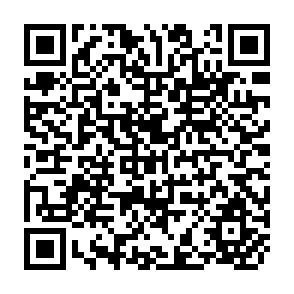 QR Code for Technology and rural development strategies in a base economic organization