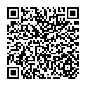 QR Code for Dynamics of Rural Development: Analytical and Policy Issues
