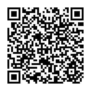 QR Code for Environmental Concerns with Transgenic Plants in Centers of Diversity: Potato as a Model