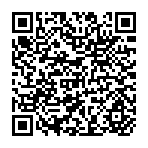QR Code for Viet Nam: Will Market Transition Increase Poverty?