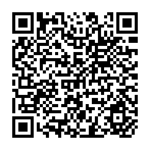 QR Code for Agrarian Transition in Former Soviet Central Asia:A Comparative Study of Uzbekistan and Kyrgyzstan