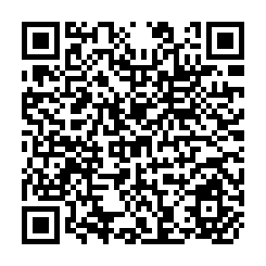 QR Code for The Benefits of Economic Integration: The Case of Central America