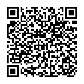 QR Code for Evaluation and Development