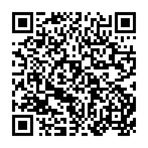 QR Code for Public policy for the promotion of family farms in italy