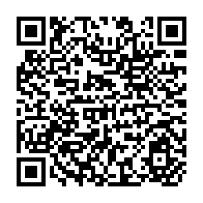 QR Code for Administrative and Financial Accountability The Asean-Saarc Experience