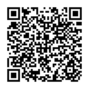 QR Code for The strategy for agricultural development