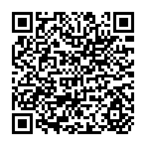QR Code for Dynamics of agricultural biotechnology SAARC Bibliographical Database