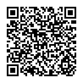 QR Code for The Social Impact of Dtws on Landless Owners