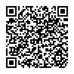 QR Code for People's Initatives for Sustainable Development: Lessons of Experience