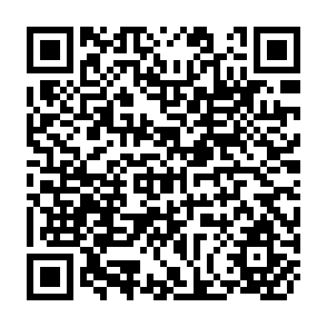 QR Code for Intellectual Property Issues for the International Agricultural Research Centers