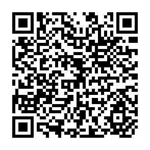 QR Code for Lands at Risk in the Third World: Local- Level Perspectives