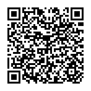 QR Code for World Development Report 1996