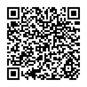 QR Code for The Rain decided to help Us