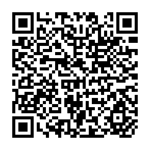 QR Code for Costs, Benefits, and Farmer Adoption of Agroforestry Project Experience in Central America and the Caribbean