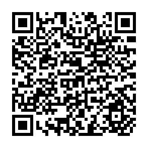 QR Code for International Conference on Irrigation Management Transfer