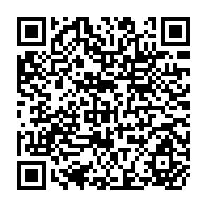 QR Code for Agricultural Sustainability,Growth,and Poverty Alleviation: Issues and Policies
