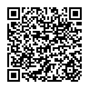 QR Code for Agricultural Commercialization and Diversification: Processes and Policies,Water Policy for Efficient Agricultural Diversification: Market-Based Approaches, Agricultural Diversification and Export Promotion in Sub-Saharan Africa