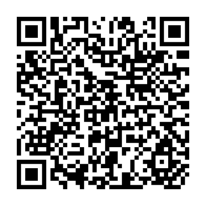 QR Code for Building a New South Africa : Environment, Reconstruction, and Development