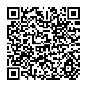 QR Code for Capital Flows to Asian and Pacific Developing Countries: Recent Trends and Future Prospects