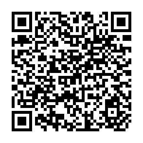 QR Code for Vital Signs 1996 : The Trends That Are Shapig our Future