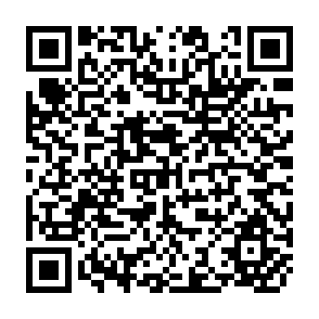 QR Code for The Social Dimensions of Adjustment Integrated Survey : A Survey to Measure Poverty and Understand the Effects of Policy Change on Households