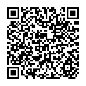 QR Code for Handbook of Economic Accounts for Agriculture (provisional)