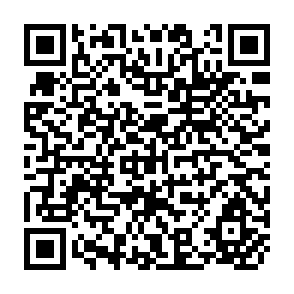 QR Code for Net Gain- A New Method for Preventing Malaria Death