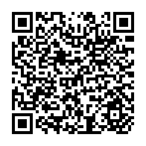 QR Code for My Paradigm or Yours? Alternative Development, Post-Development, Reflexive Development