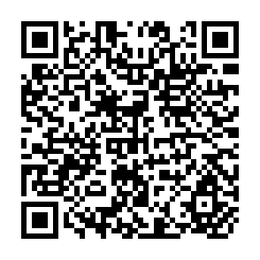 QR Code for The Development Impact of The India- Pakistan Arms race