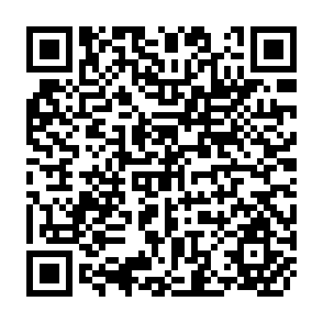 QR Code for The Internet Instant References