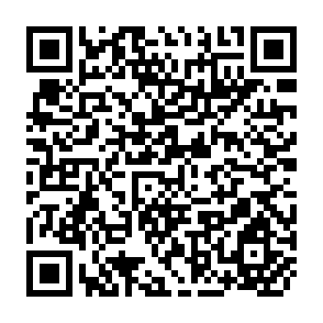 QR Code for The Art of Business Programming
