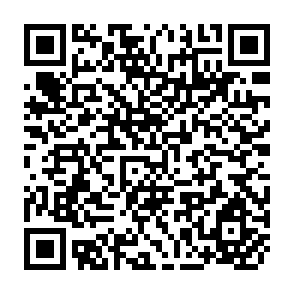 QR Code for Large-Scale Rice Farming in Japan: A Case Study