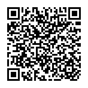 QR Code for Market Prospects for Pules in South Asia: International and Domestic Trade