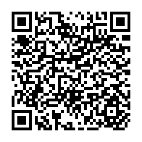 QR Code for The Assault on World Poverty