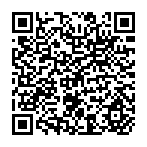 QR Code for Protein and Nutrition Policy in Low-Income Countries