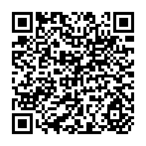 QR Code for Income Diversification in Rural Bangladesh