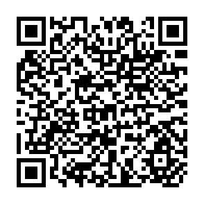 QR Code for Perspectives on Forestry Resources Management