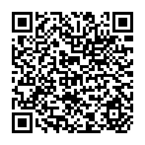 QR Code for The Impact of the Uruguay Round on Tariff Escalation in Agricultural Products