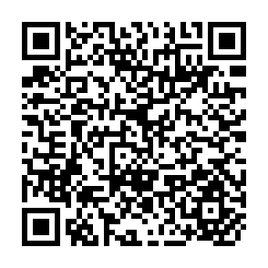 QR Code for Cotton Production in Pakistan