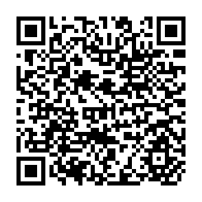 QR Code for Elites in South Asia